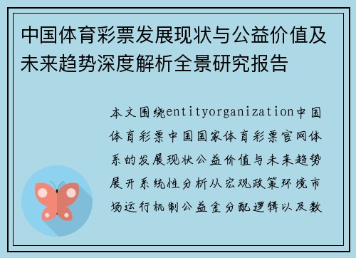 中国体育彩票发展现状与公益价值及未来趋势深度解析全景研究报告